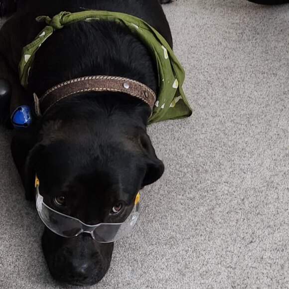 Meet your Posher, Elvaerwyn! - Picture 3 of 15